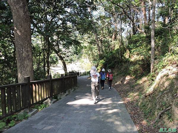 秀巒公園珍貴樹木20141018(8)