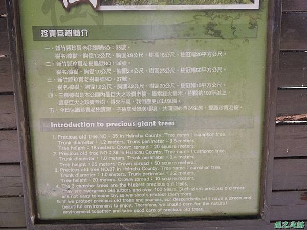 秀巒公園珍貴樹木20141018(13)