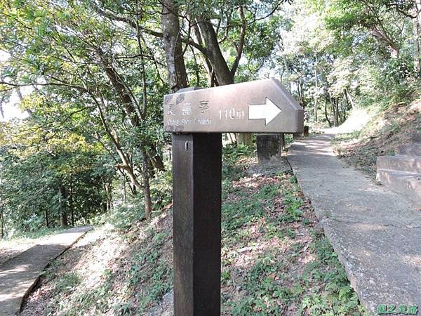 秀巒公園珍貴樹木20141018(21)
