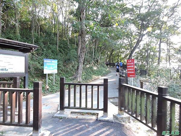 秀巒公園珍貴樹木20141018(31)