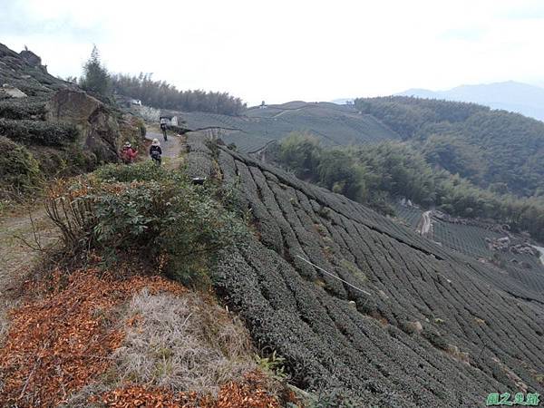 篤鼻山20150215(6)