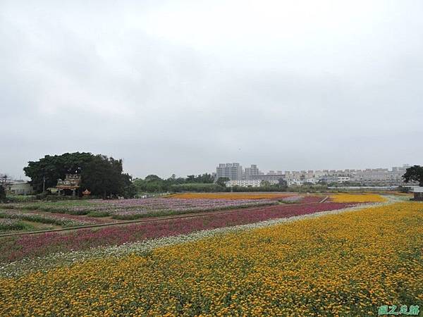 平鎮花彩節20151221(10)