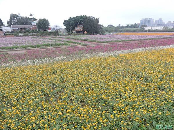 平鎮花彩節20151221(20)