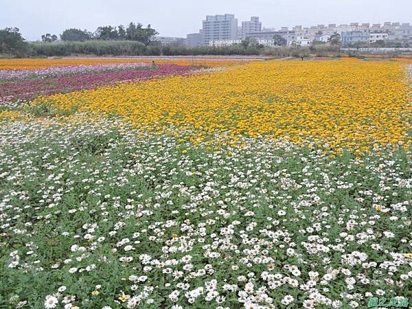 平鎮花彩節20151221(48)