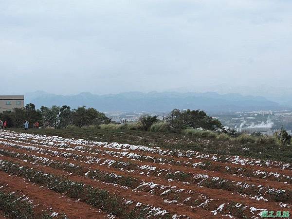 乳姑山雪景20160124(38)