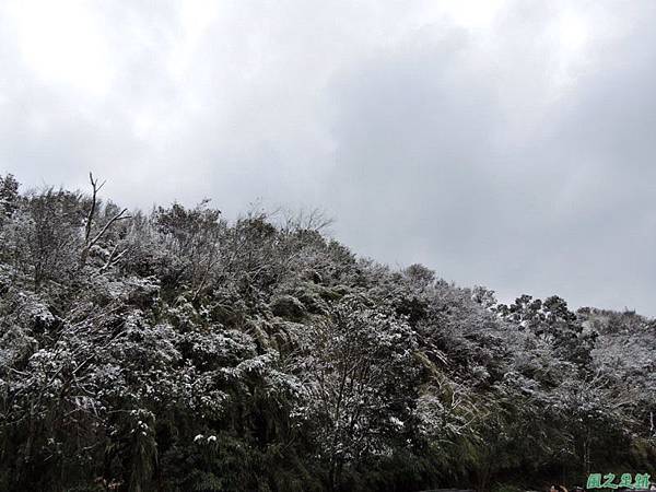 佛陀世界高點雪景20160124(13)