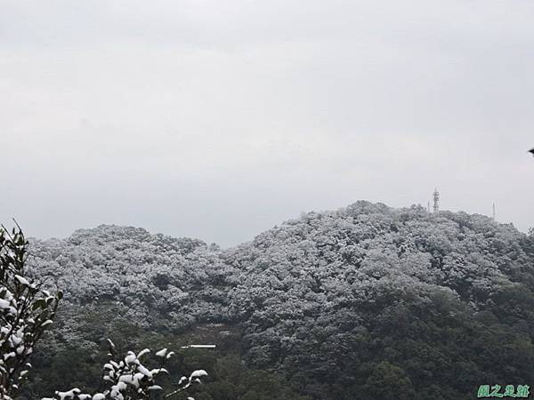 佛陀世界高點雪景20160124(18)