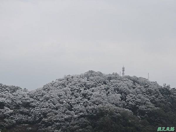 佛陀世界高點雪景20160124(17)