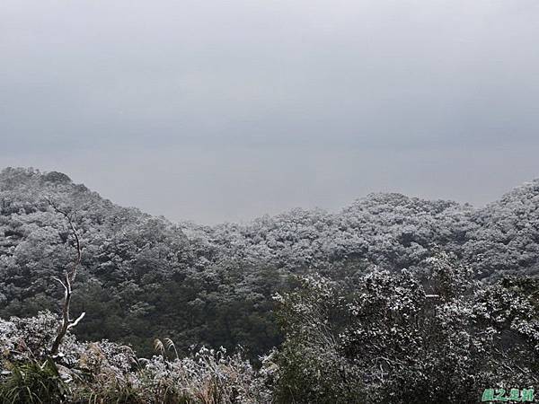 佛陀世界高點雪景20160124(45)