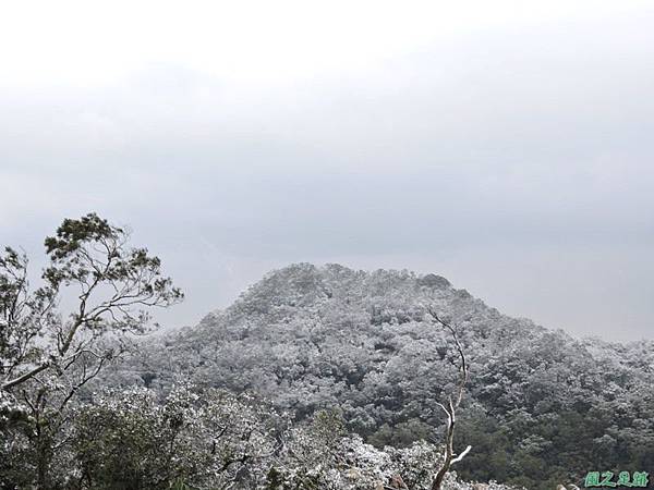 佛陀世界高點雪景20160124(44)