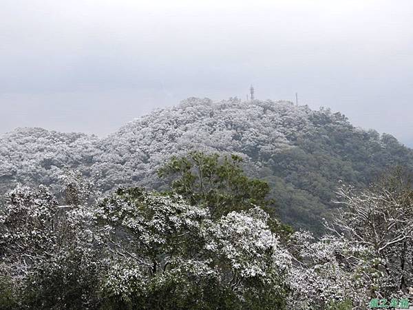 佛陀世界高點雪景20160124(46)