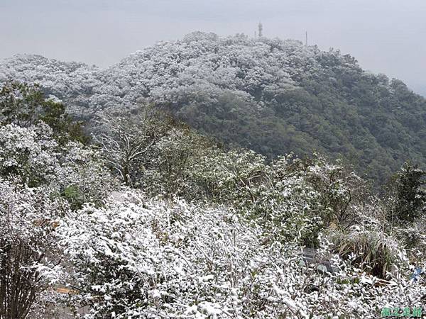 佛陀世界高點雪景20160124(53)