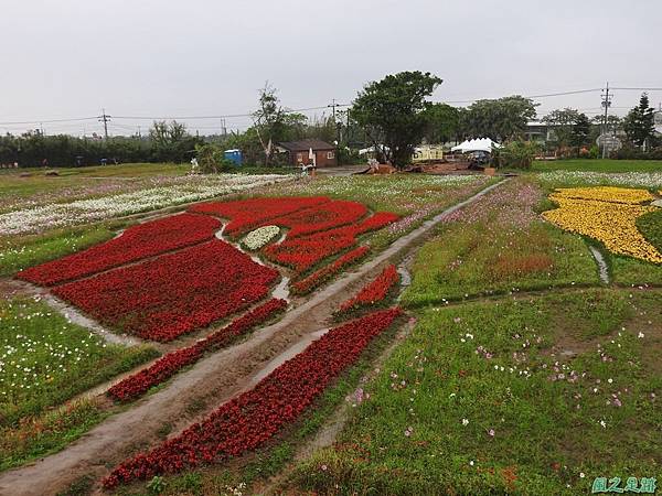 桃園彩色海芋節20170411(30)