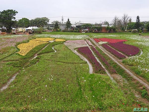 桃園彩色海芋節20170411(32)