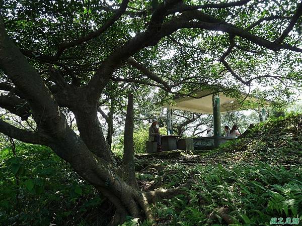 猴硐神社20110410(14)