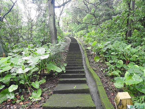 圓山水神社20160609(4)