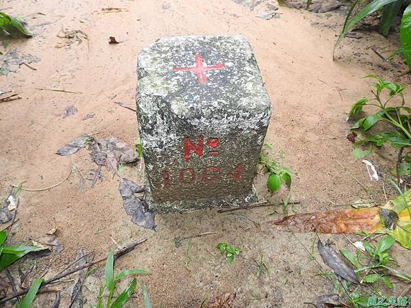 圓山水神社20160609(27)