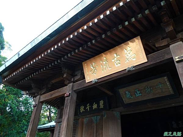 桃園神社之行20081201(14)