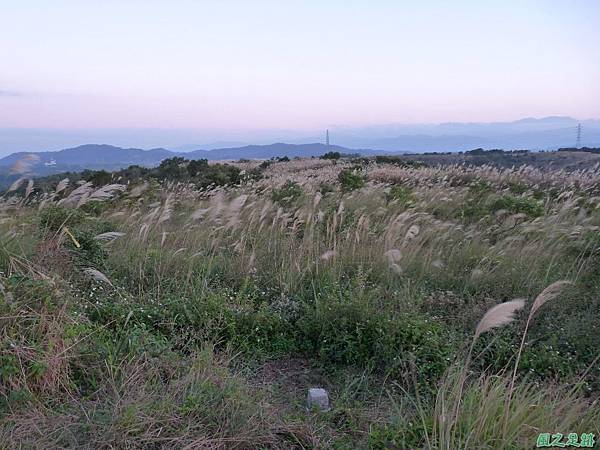 桃園神社之行20081201(43)