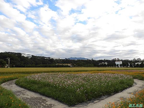 花彩節大溪場區20171127(17)