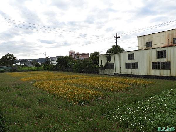 花彩節大溪場區20171127(21)