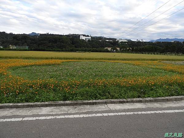 花彩節大溪場區20171127(30)