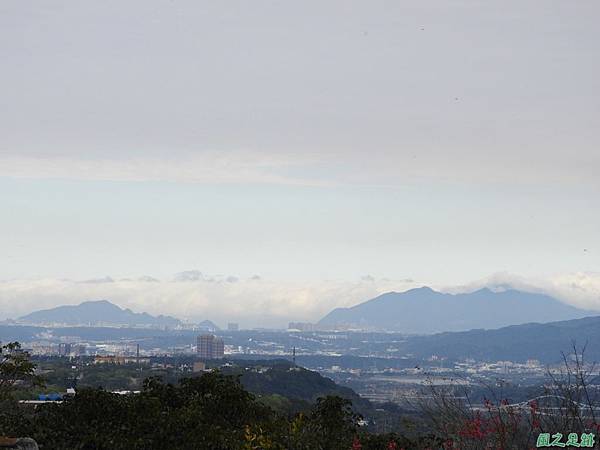 石門山步道賞櫻20180127(17)