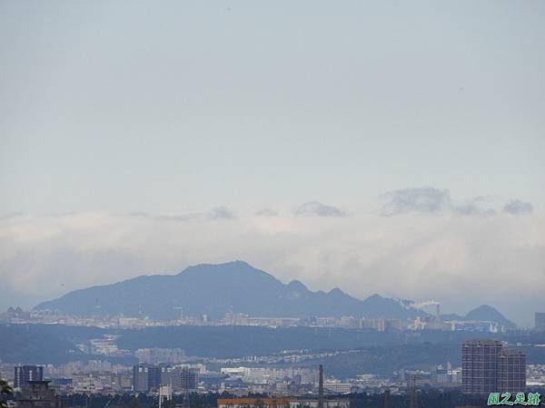 石門山步道賞櫻20180127(18)