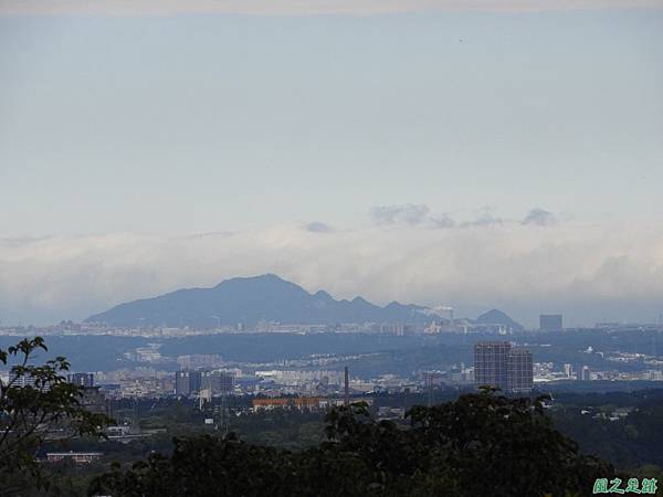 石門山步道賞櫻20180127(20)