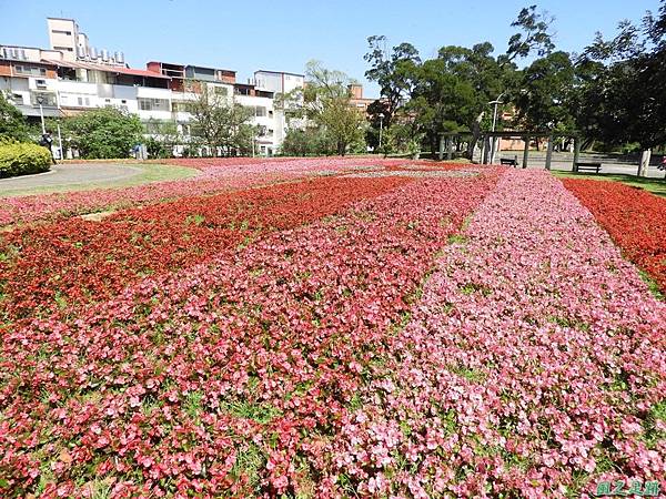 平鎮復興公園20180310(2)