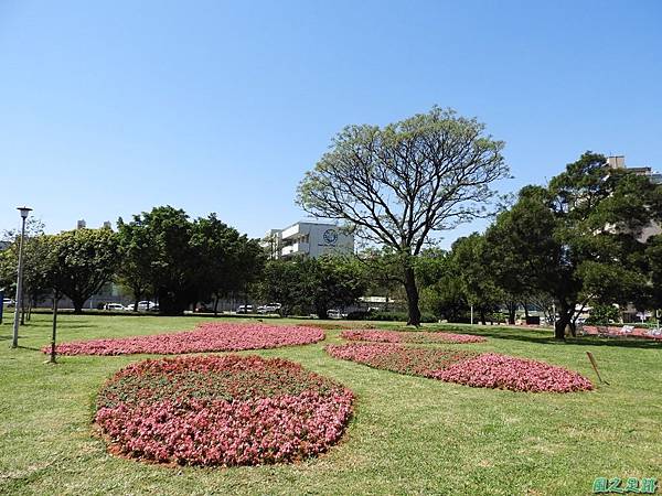 平鎮復興公園20180310(3)