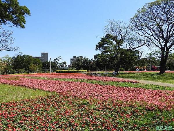 平鎮復興公園20180310(5)