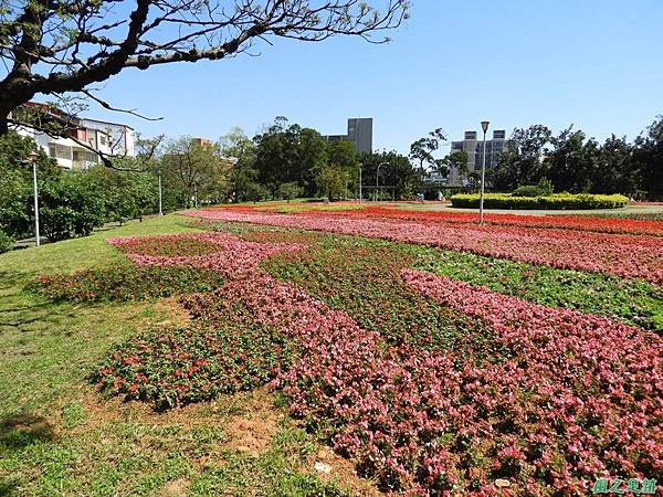 平鎮復興公園20180310(6)