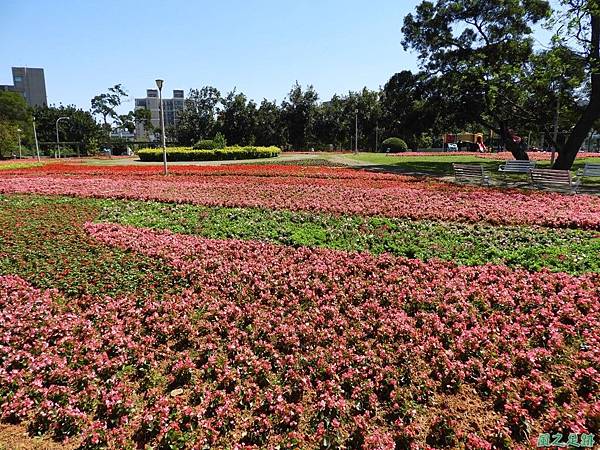 平鎮復興公園20180310(7)