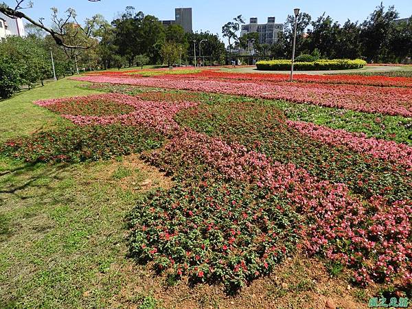 平鎮復興公園20180310(8)