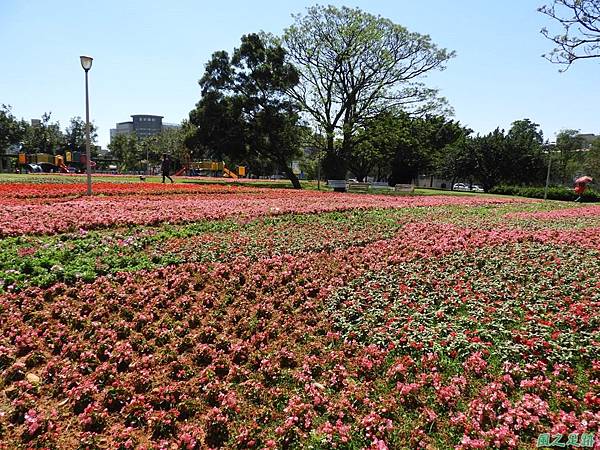 平鎮復興公園20180310(9)