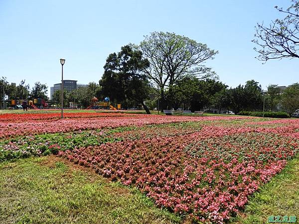 平鎮復興公園20180310(10)