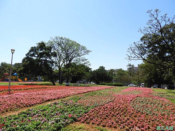 平鎮復興公園20180310(11)