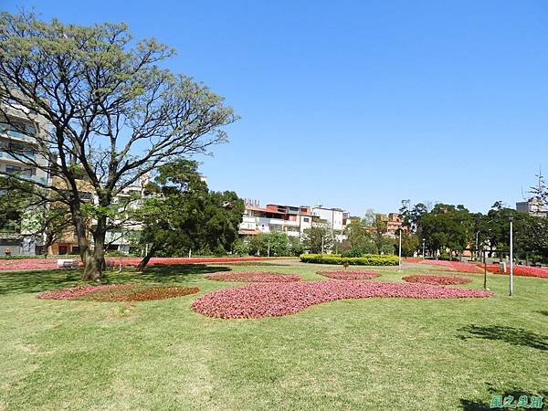 平鎮復興公園20180310(22)