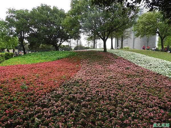 埔頂公園花海20180318(9)