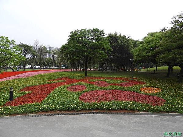 埔頂公園花海20180318(23)