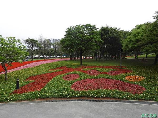 埔頂公園花海20180318(25)