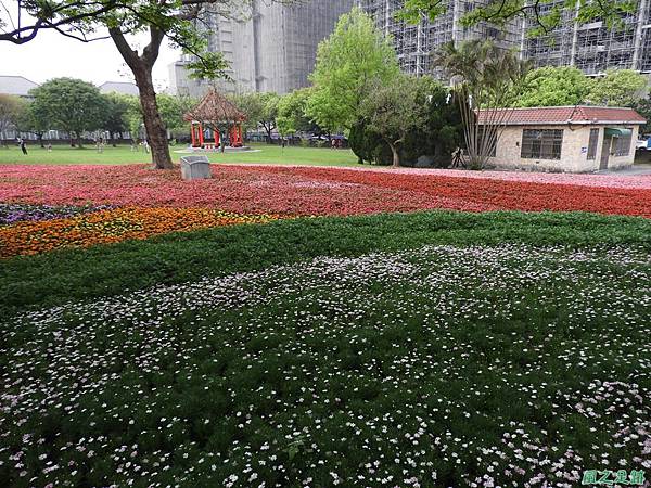 埔頂公園花海20180318(28)