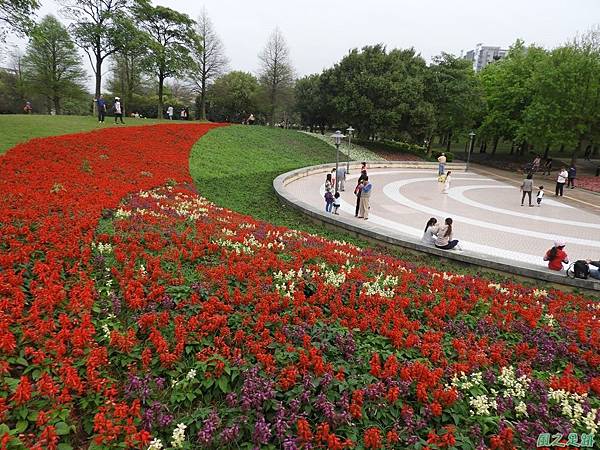 埔頂公園花海20180318(35)