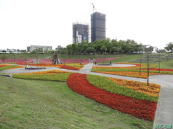 風禾公園花海20180322(2)