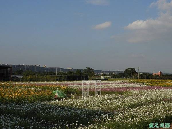 桃園花彩節_大溪20181115(14).JPG