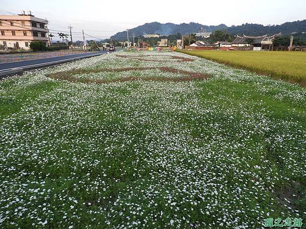 桃園花彩節_大溪20181115(53).JPG